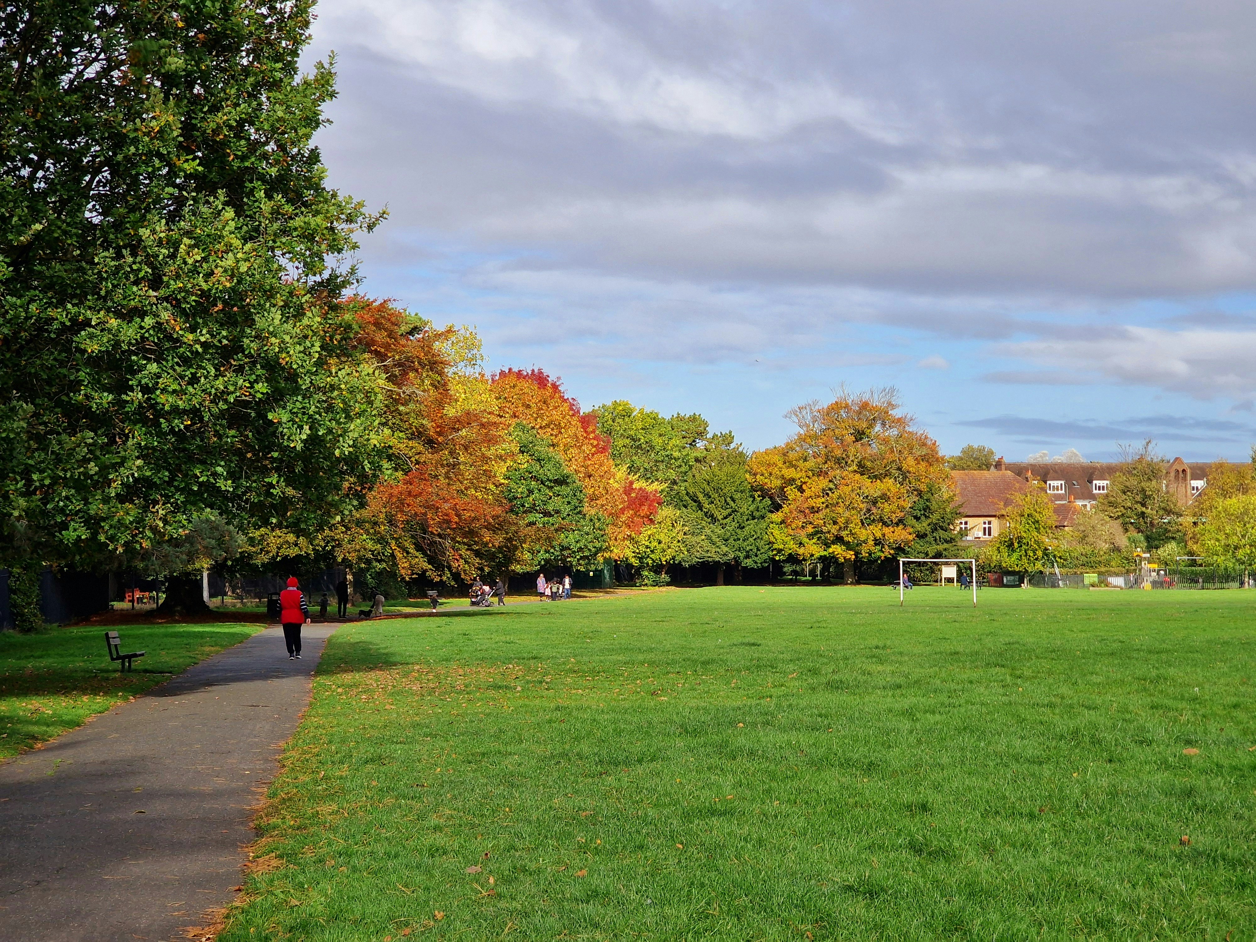 Bute Park